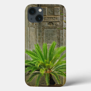 Palm Tree Hongcun, China iPhone 13 Case