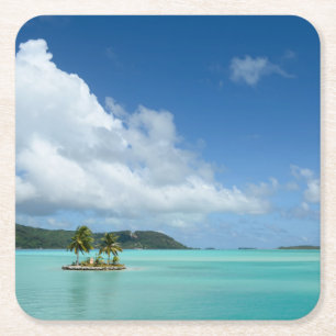 Palm tree in Bora Bora lagoon coaster