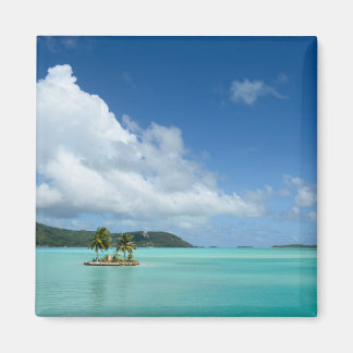 Palm tree in Bora Bora lagoon magnet