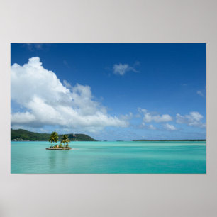 Palm tree in Bora Bora lagoon poster print