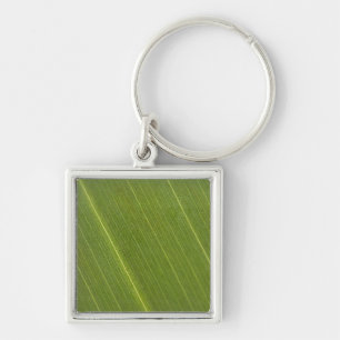 Palm Tree Leaf Key Ring