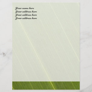 Palm Tree Leaf Letterhead Design