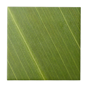 Palm Tree Leaf Tile