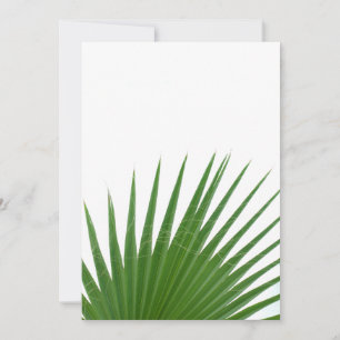 Palm tree leaves