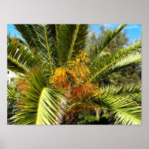 Palm tree leaves and flowers poster