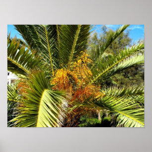 Palm tree leaves and flowers poster