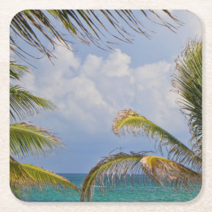 Palm Tree Leaves Framed Square Paper Coaster