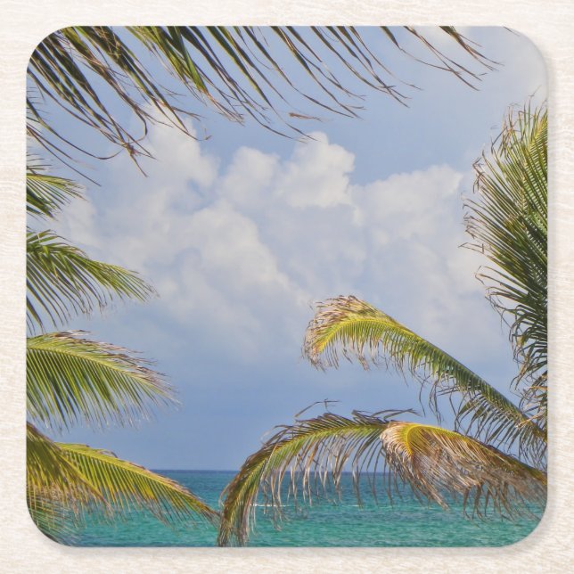 Palm Tree Leaves Framed Square Paper Coaster (Front)