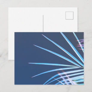 Palm Tree Leaves Minimalism Sketch Postcard