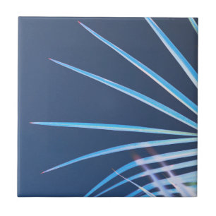 Palm Tree Leaves Minimalism Sketch Tile