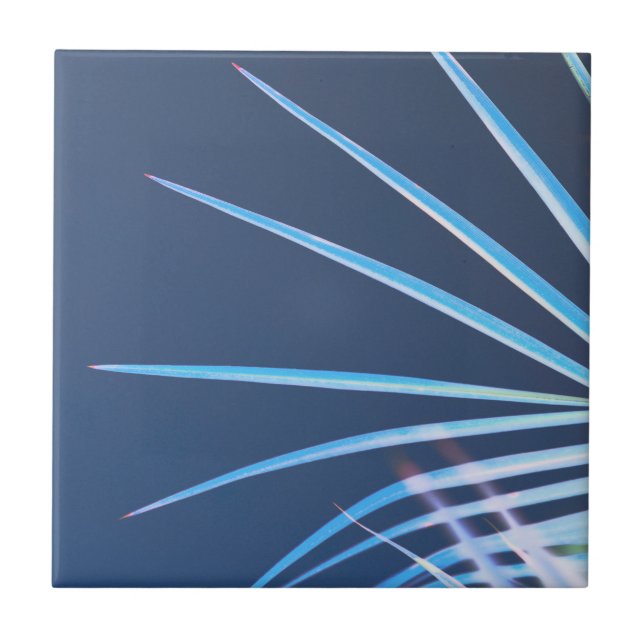 Palm Tree Leaves Minimalism Sketch Tile (Front)