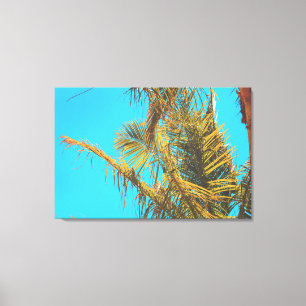 Palm Tree Leaves Turquoise Sky Canvas Print