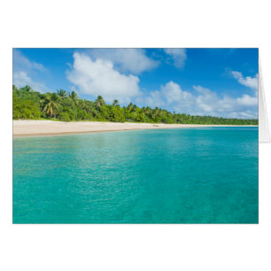 Palm tree lined beach, Tonga
