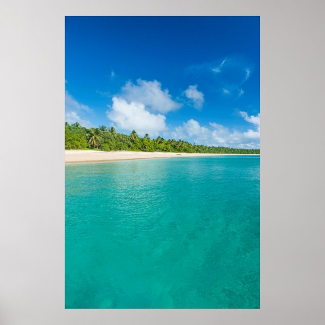 Palm tree lined beach, Tonga Poster (Front)