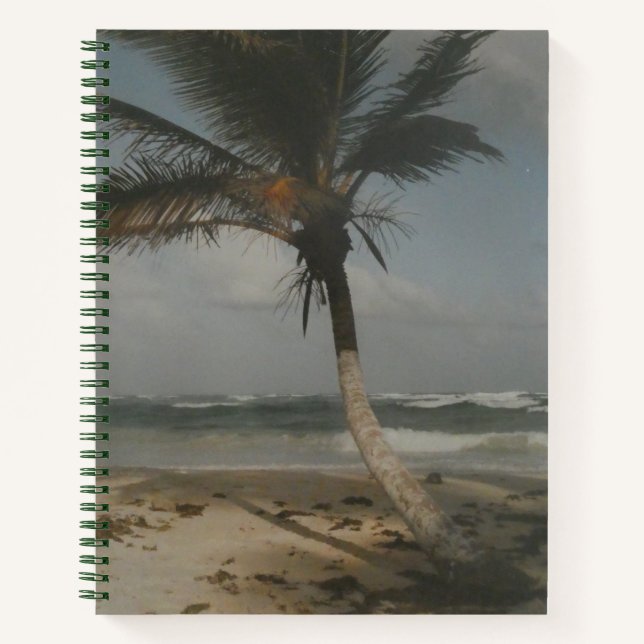 Palm Tree, Mexico Destination TULUM Notebook (Front)