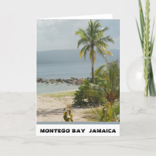 Palm Tree, Montego Bay Jamaica June 2011 Card