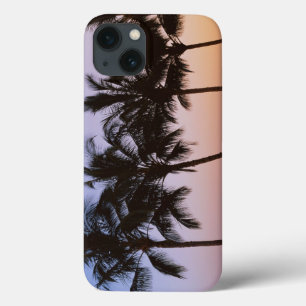 Palm tree, morning iPhone 13 case
