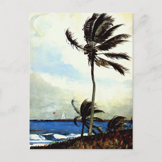'Palm Tree-Nassau' Postcard (Front)