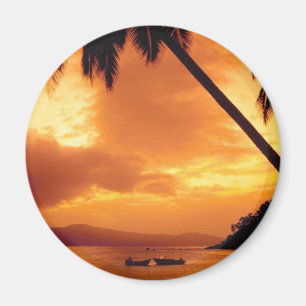 Palm Tree over Water Magnet