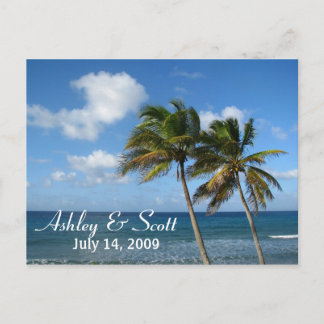 Palm Tree Postcard