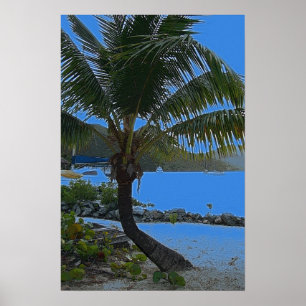 palm tree poster