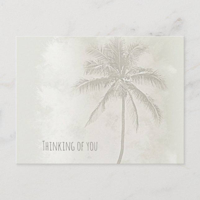 Palm Tree Sand Colour Monotone Photograph Postcard (Front)