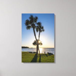 Palm Tree Scissors Silhouette Canvas Print