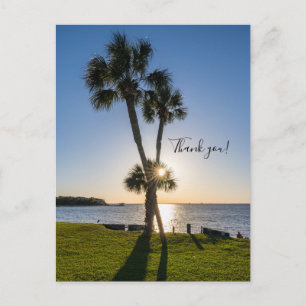 Palm Tree Scissors Silhouette Thank You Postcard