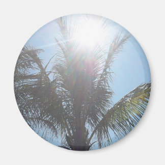 Palm Tree Summer Day Magnet