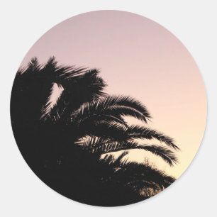Palm Tree Sunset #2 Classic Round Sticker