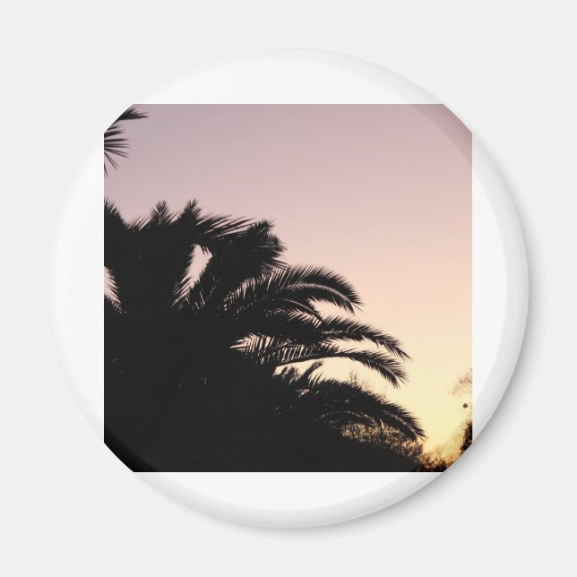 Palm Tree Sunset #2 Magnet (Front)