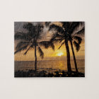 Palm tree sunset