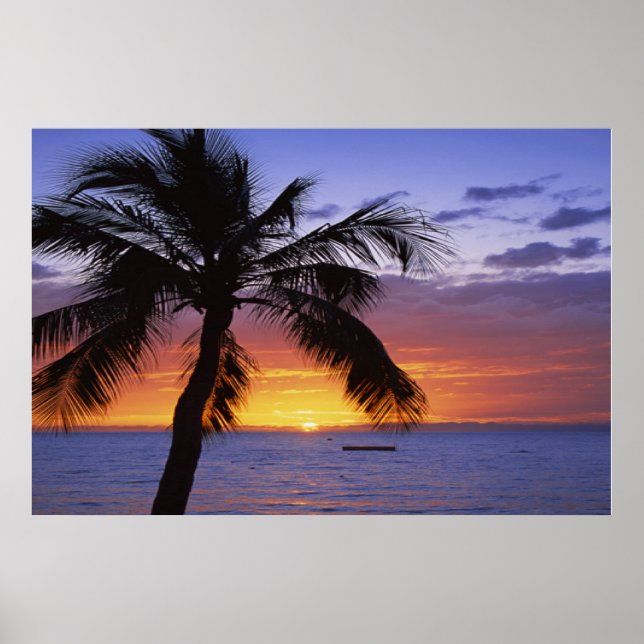 Palm Tree Sunset Poster (Front)