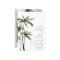 Palm Tree Tropical Island Minimal Beach Wedding In