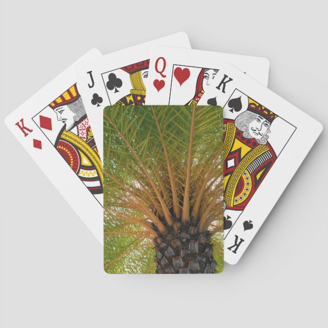Palm Tree Underside Playing Cards (Back)