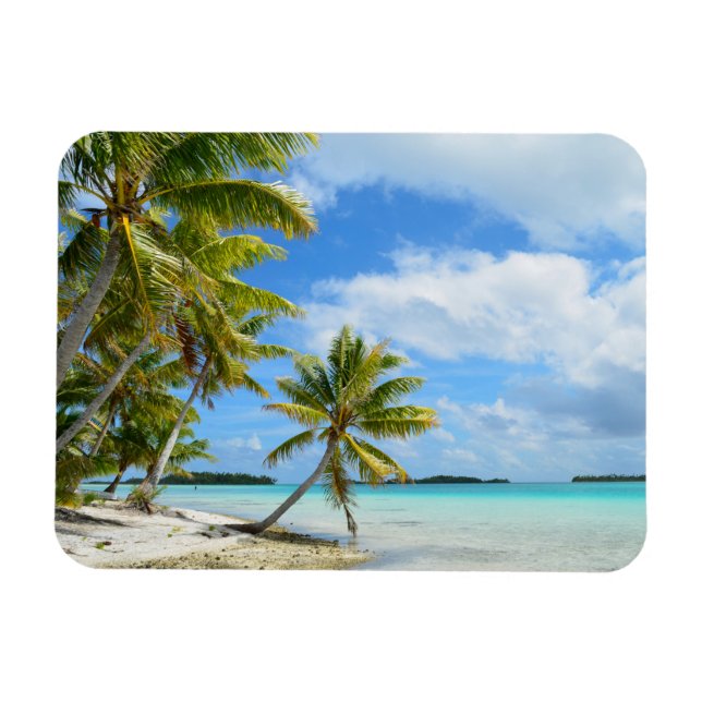 Palm tree white sand beach rectangular magnet (Horizontal)