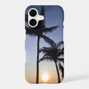 palm trees