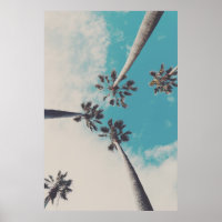 Palm Trees against a Turquoise Sky Photo