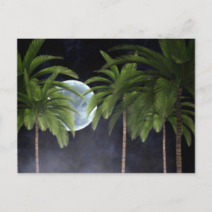 Palm Trees Against the Moon Postcard