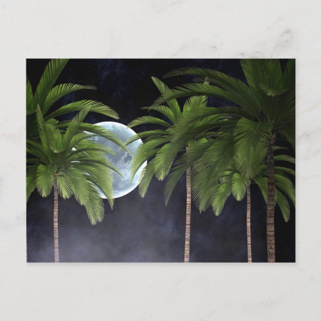 Palm Trees Against the Moon Postcard (Front)