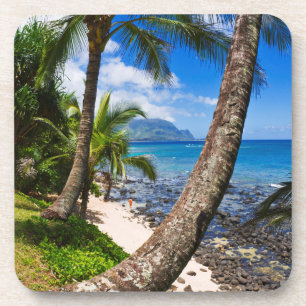 Palm Trees Along Hideaways Beach Coaster