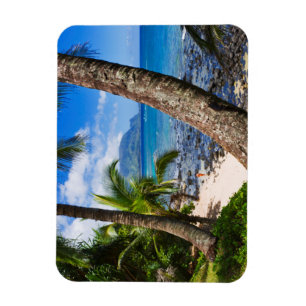 Palm Trees Along Hideaways Beach Magnet