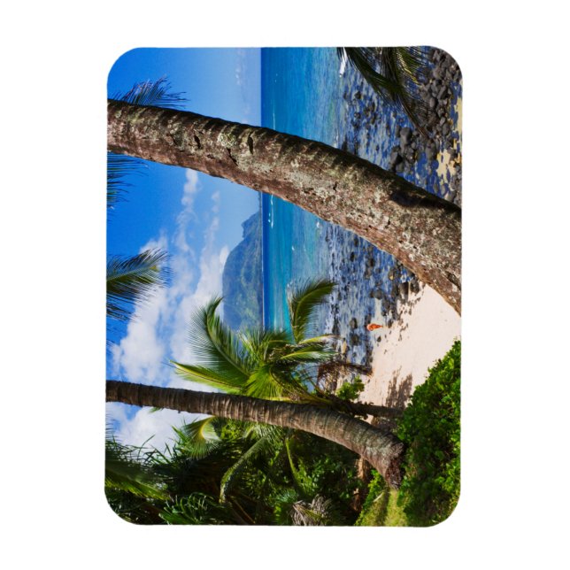 Palm Trees Along Hideaways Beach Magnet (Vertical)