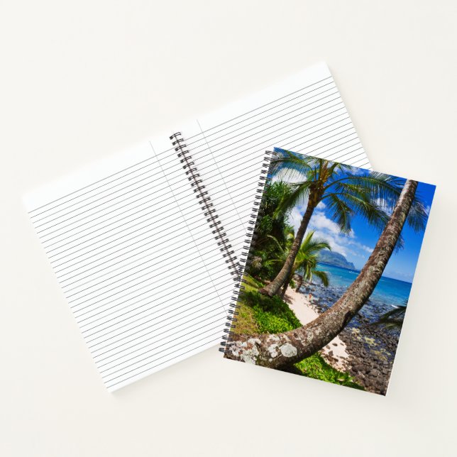 Palm Trees Along Hideaways Beach Notebook (Inside)