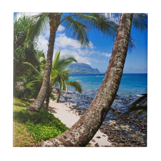Palm Trees Along Hideaways Beach Tile (Front)