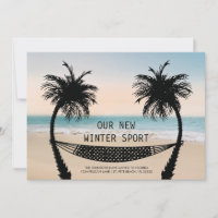 Palm Trees and Hammock on Florida Beach Moving