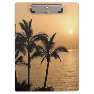 Palm Trees and Romantic Sunset Clipboard