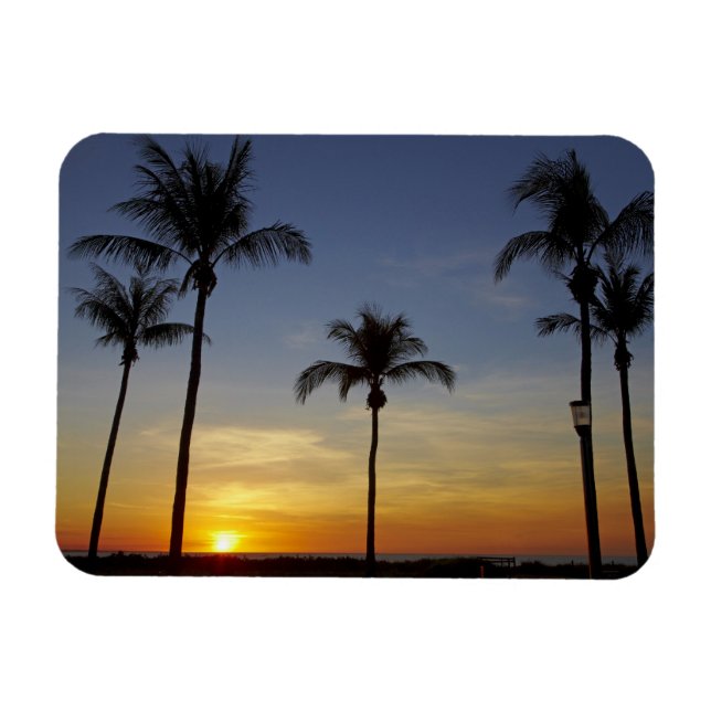 Palm trees and sunset, Mindil Beach Magnet (Horizontal)