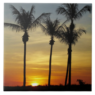 Palm trees and sunset, Mindil Beach Tile