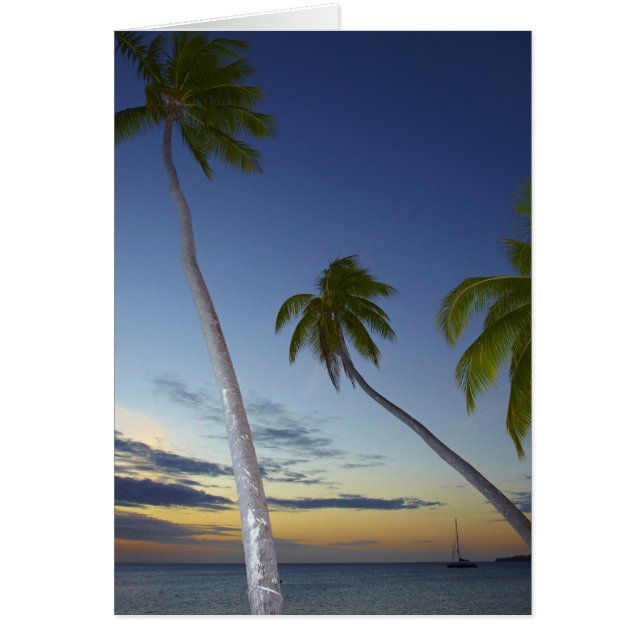Palm trees and sunset, Plantation Island Resort (Front)